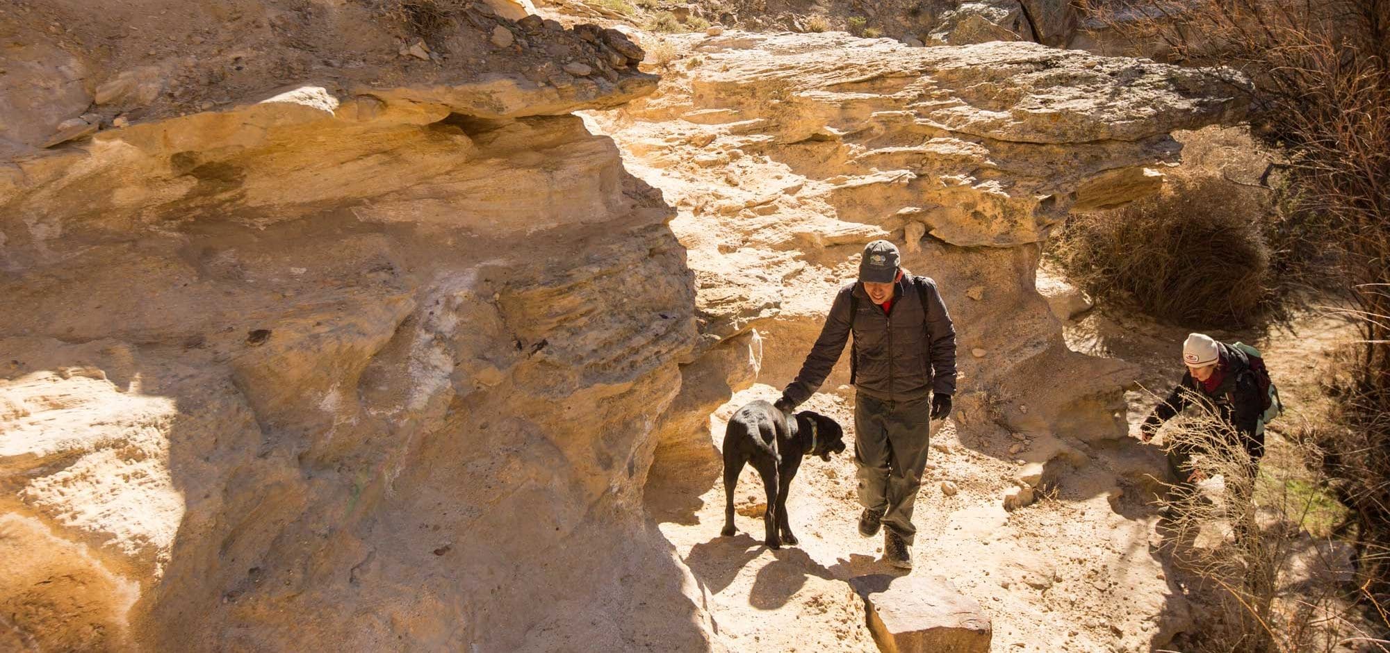Eagle-Rock-Shelter-1225RBLWeb-3-1-1-2-e1557073217953