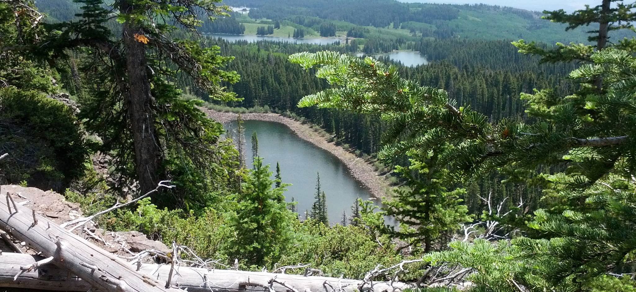 Grand-Mesa-Land-O-Lakes